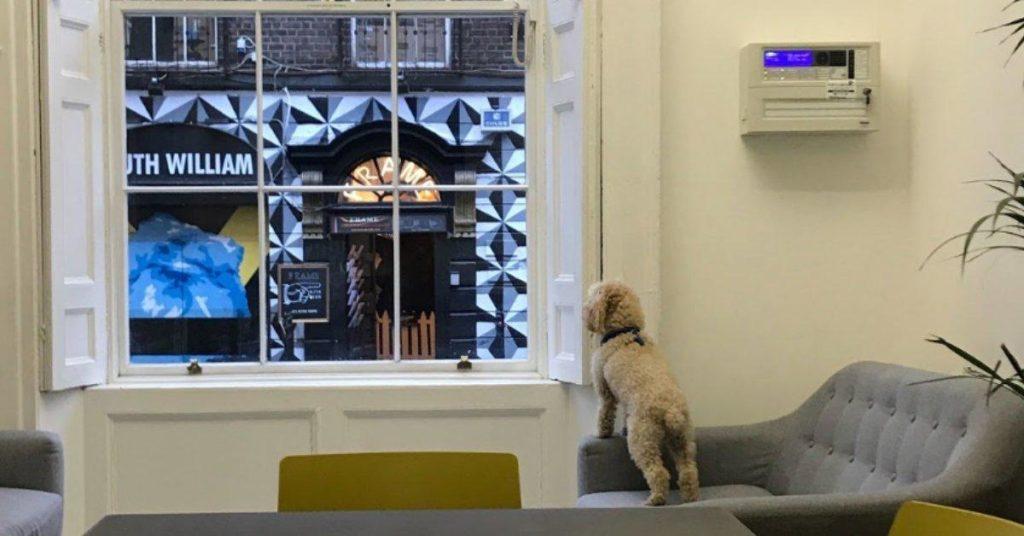 Life at Glofox: February 2019 - Glofox Goes Global Life at Glofox: February 2019 - Glofox Goes Global